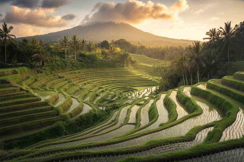 Bali Tourism Growth Highlights Need for Responsible Travel