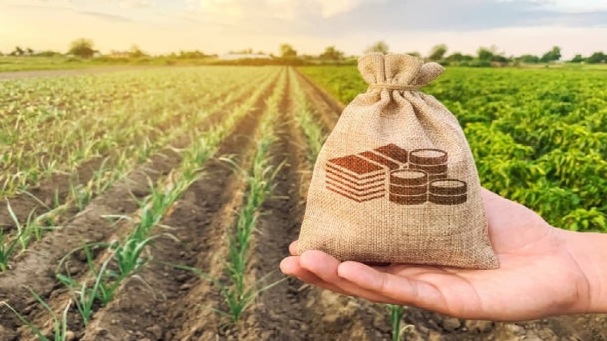 Agriculture Must Drive Growth, Not Depend on Handouts